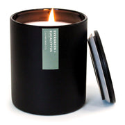 Calyan Wax Co. Evergreen & Eucalyptus front view showcases premium candle ambiance for inviting spaces.