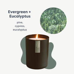 Calyan Wax Co. evergreen-eucalyptus tumbler close-up highlights clean burn and long-lasting scent.