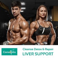 Canarata Tudca capsules pour image showing convenient vegan capsules for daily intake.