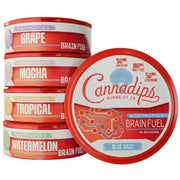Cannadips Brain Fuel Variety Pack front view showing compact caffeine pouches for focused energy