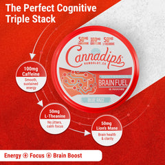 Cannadips Brain Fuel label close-up highlighting 50 mg Lion's Mane and 100 mg caffeine