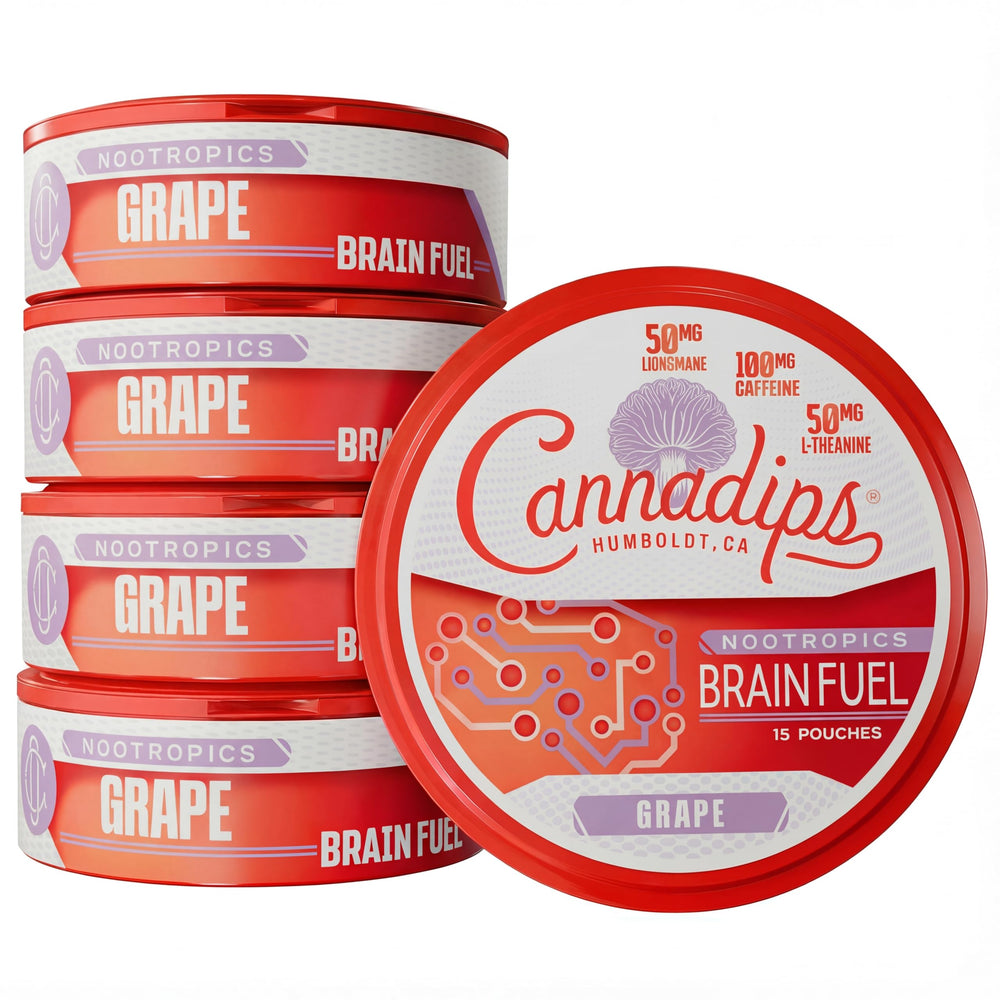 Cannadips Grape Energy pouch with Lion's Mane boosts focus during study sessions