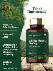 Carlyle Ginkgo Biloba leaves close-up emphasizes herbal origin