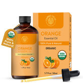 Carno Calm Sweet Orange Oil bottle ready for diffusion and DIY blends.