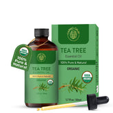 Carno Calm Tea Tree Oil bottle pour shown for precise skin and scalp use.