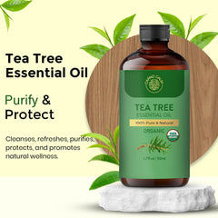 Carno Calm Tea Tree Oil for hair and scalp care, easy dilution.