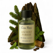 Casa Roma Ancient Forest oil bottle ready for waterless diffusion, delivering lasting aroma.