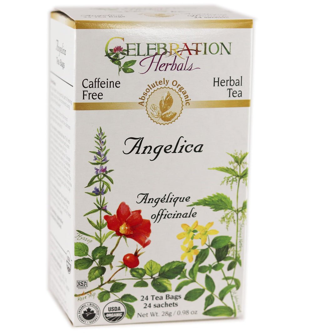 Celebration Herbals Angelica Root Organic 24-Bag front label showcases premium herbal packaging.