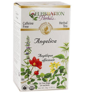 Celebration Herbals Angelica Root Organic 24-Bag front label showcases premium herbal packaging.