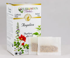 Celebration Herbals Angelica Root Organic 24-Bag packaging highlights organic quality.