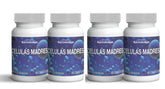 Celulas Madres bottle front view, plant-based stem cell support for healthy aging.