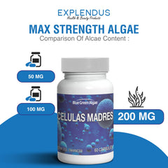 Celulas Madres container with gluten-free label for allergy-conscious use.