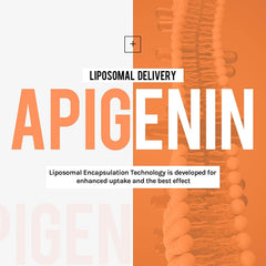 Cenffitio liposomal apigenin softgels closeup showing capsule texture and premium formulation
