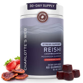 Charlotte's Web Stress Support Gummies bottle for daily calm and well-being.