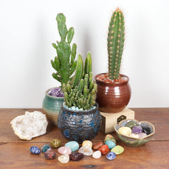 Cherry Tree Collection Rhodonite stones with natural inclusions ideal for chakra work.