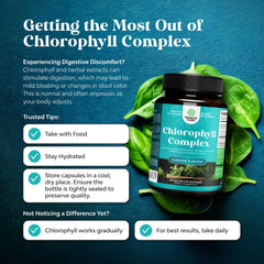 Chlorophyll pills with mint and parsley extract for freshness and internal cleansing cues