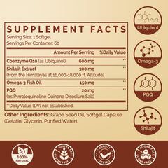 Ciaceae dual-delivery softgel cross-section highlights enhanced absorption potential.