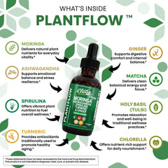 Clean Nutra Moringa Drops bottle front label emphasizing PlantFlow blend