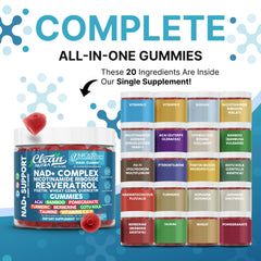 Youth Bloom gummies serving scene highlighting NAD+ and collagen support.
