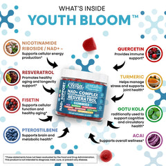 Youth Bloom gummy closeup shows rich texture and skin-supportive ingredients.