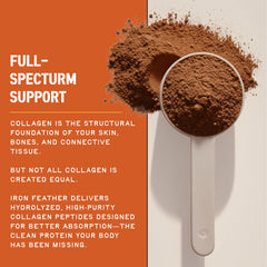 Chocolate shake featuring Iron Feather for recovery-friendly protein.