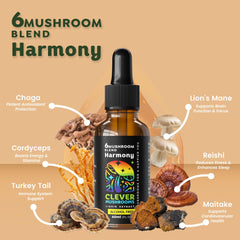 CLEVER MUSHROOMS 6 Blend dropper ready for quick, alcohol-free dosing.