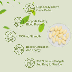 Clinivex 15-1 concentrate label highlights potent aged garlic extract for potential support.