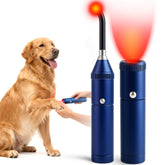 Clocness dog red-light therapy in action for comfort and mobility.