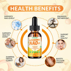 CNCHEF NAD drops in pineapple flavor for fast sublingual absorption.
