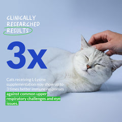 Coco and Luna lysine powder used to support cat eye health during daily care.