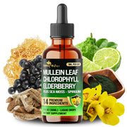 Cona Nature 14in1 Mullein Drops bottle for daily wellness support.