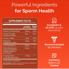 Conceive Plus Motility label showing the nutrient blend for men