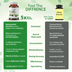 Cosynee Life clean-label packaging emphasizes solvent-free processing.