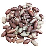 Craftslook Narmada Lingam pocket stones ideal for portable puja and meditative focus