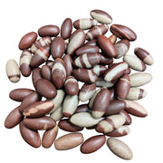 Craftslook Narmada Lingam pocket stones ideal for portable puja and meditative focus