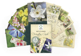 Creature Comforters Bach Flower card illustration prompts calm reflection during a quiet moment