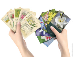 Creature Comforters Bach Flower card illustration with botanical imagery for contemplation
