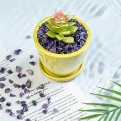 Crocon amethyst chips in decor display for home accents.
