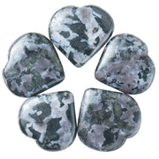 Crocon Indigo Gabbro heart stone 5pc set for mindfulness and decorative display.