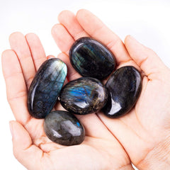 Crysmona palm stone used for meditation and energy work with a smooth surface
