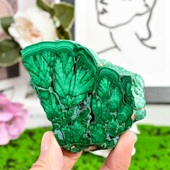 CrystalHola malachite slice for jewelry inlay and decorative accents