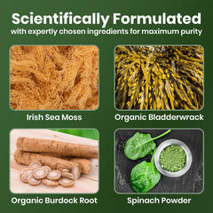 Cured Sea Moss Gummies ingredients with bladderwrack and burdock root for gut-friendly nutrition.