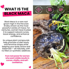 Closeup of 600 mg Curvy Fruit maca capsules for daily use.