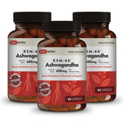 DailyNutra KSM-66 Ashwagandha bottle front shows high potency daily supplement
