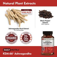DailyNutra KSM-66 Ashwagandha capsules closeup highlighting high-potency dose.