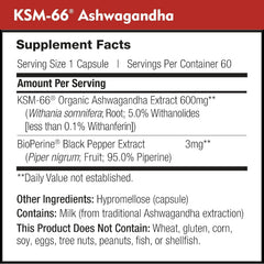Packaging box signals premium DailyNutra KSM-66 Ashwagandha with potency