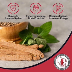 Dairyland Red Panax Ginseng Powder stirred into a smoothie