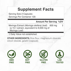 Deal Supplement Moringa capsules close-up highlights high potency per serving.