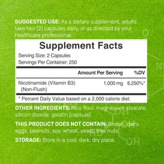 DEAL SUPPLEMENT Nicotinamide bottle label closeup highlighting flush-free Niacin form