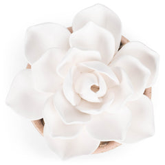 Demdaco 3x5 inch succulent close-up on tabletop diffuser